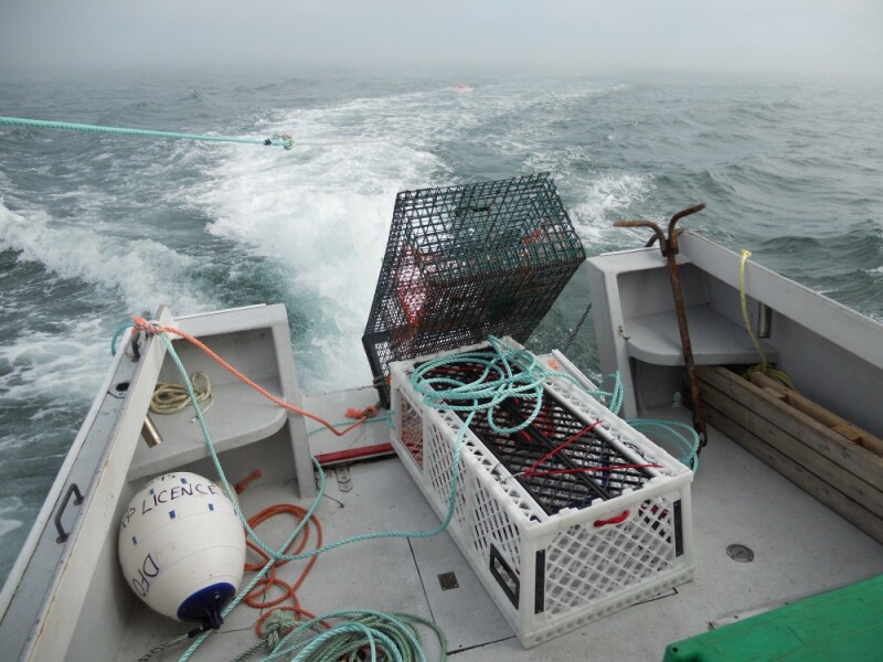 Nova Scotia company aims to reinvent the lobster trap